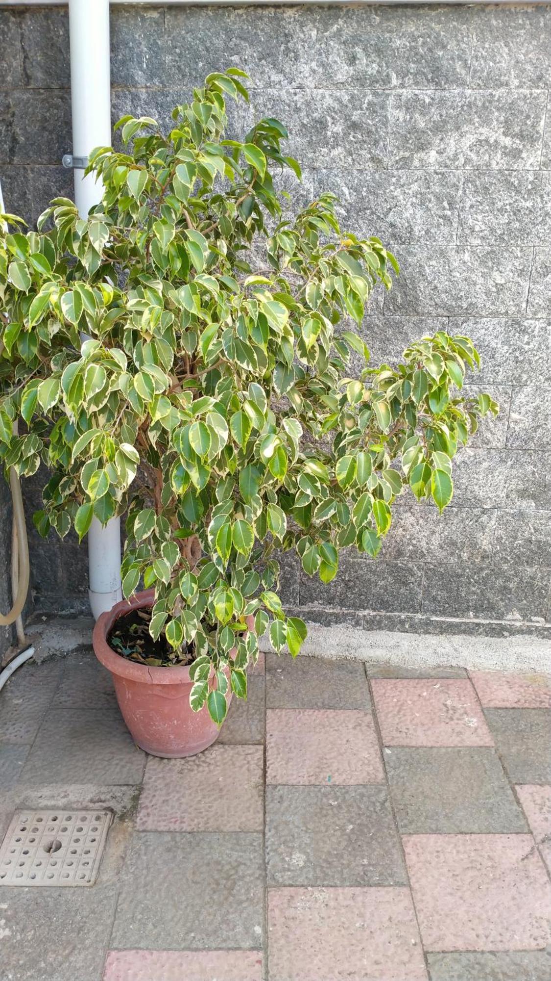 Domus Annae B&B Pompei Luaran gambar